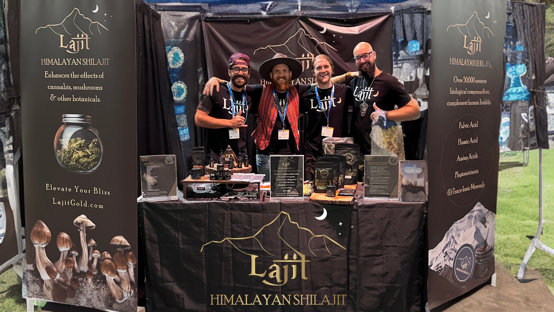Shilajit Products