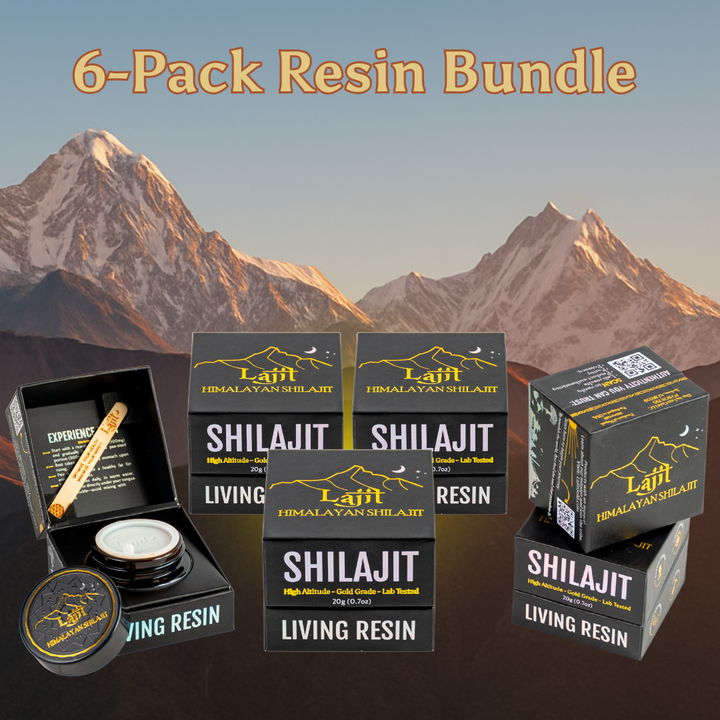 6-Pack Lajit Shilajit Resin (20g)
